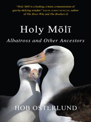 cover image of Holy Moli